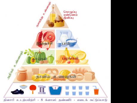 Food guide pyramid